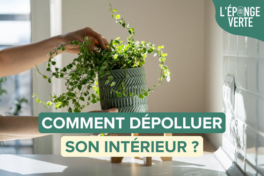 Comment dépolluer son intérieur ?