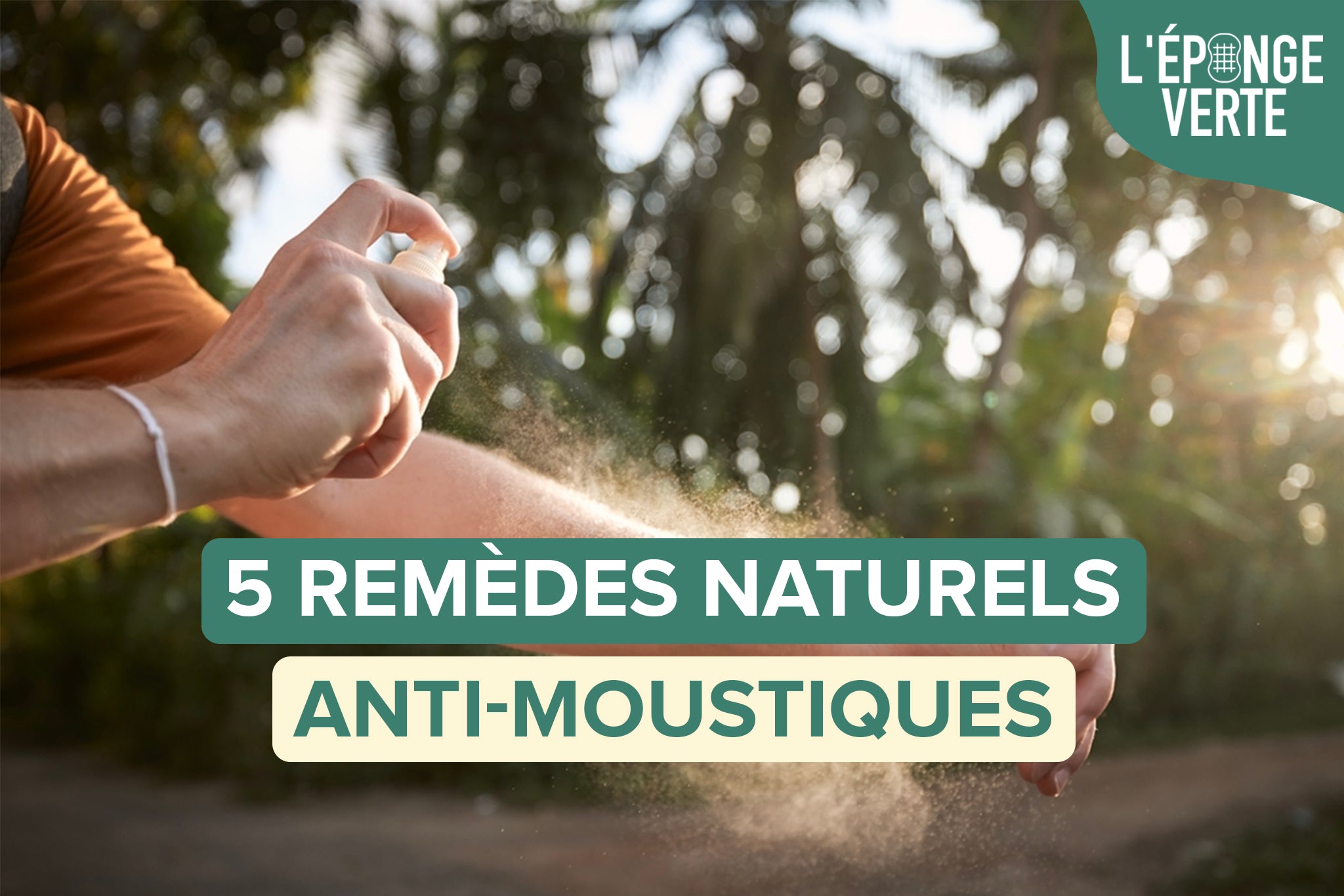 5 remèdes anti moustiques naturels – L'Eponge Verte