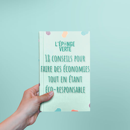 18 méthodes pour faire des économies éco-responsablement (ebook)